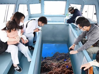 ☆【那覇発/半日南部観光】ラドOSB号『斎場御嶽&みーばるビーチグラスボート付+ステーキランチ付コース』★「斎場御嶽」→「新原(みーばる)ビーチグラスボート乗船&散策」+「ステーキランチ付(国際通りにて)」★※斎場御嶽入場料は含まれておりません。★¥6,800~7,000★1